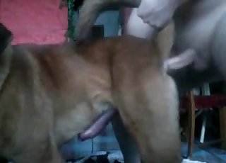 Slut giving mutt a BJ - Anal Zoofilia