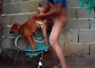 Smallish doggy in the super-fucking-hot animality - Anal Zoofilia