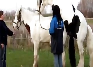 Amazing outdoors action with a horse - Horse Zoofilia Tube