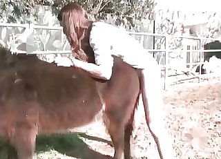 Sexy animal fucked nicely by amazing farmer - Horse Zoofilia Tube