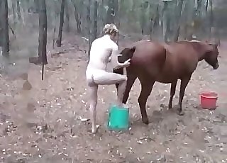 Horse enjoys perverted ass-fuck sex - Horse Zoofilia Tube