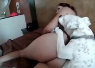 Marvelous white puppy in the bedroom - Anal Zoofilia