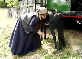 Small black pony sucked by farm zoofil - Horse Zoofilia Tube