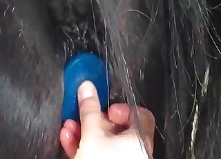 The asshole of this pony gets stimulated by a crank - Horse Zoofilia Tube