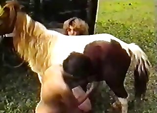 The big rock hard boner of this stallion is sucked by a blonde - Horse Zoofilia Tube