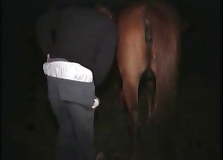 Dude penetrates horse's twat in the dark - Horse Zoofilia Tube